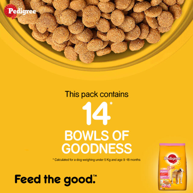 Pedigree Puppy Dry Dog Food Food, Chicken & Milk Flavour - Image 5