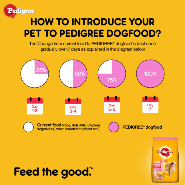 Pedigree Puppy Dry Dog Food Food, Chicken & Milk Flavour - Image 6