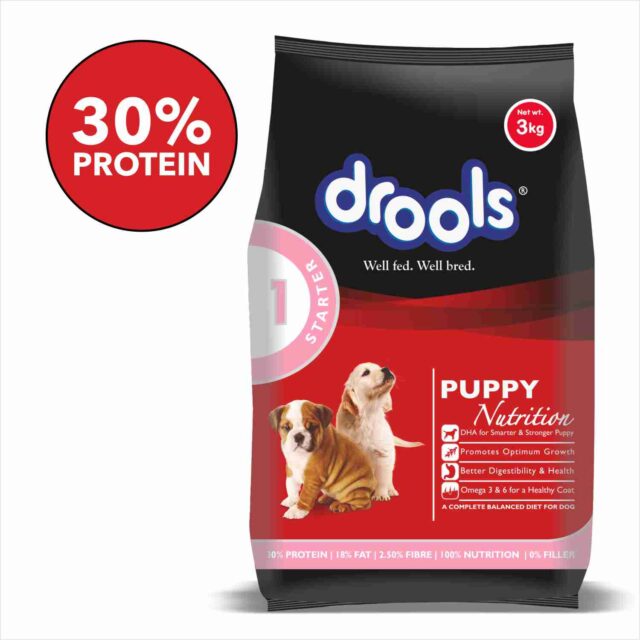 Drools Puppy Starter Dog Food - Image 2