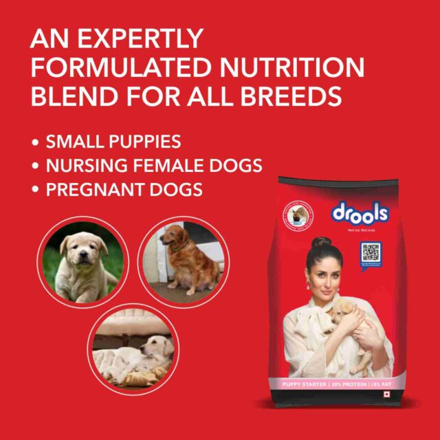 Drools Puppy Starter Dog Food - Image 5