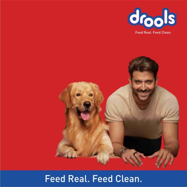 Drools Puppy Starter Dog Food - Image 3