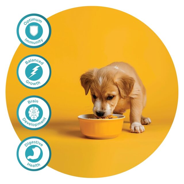 Fidele+ Weaning Puppies & Nurturing Mothers Dry Dog Food - Image 5