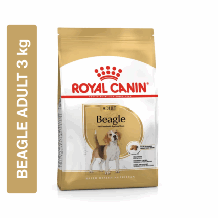 Royal Canin Beagle Adult 3 kg