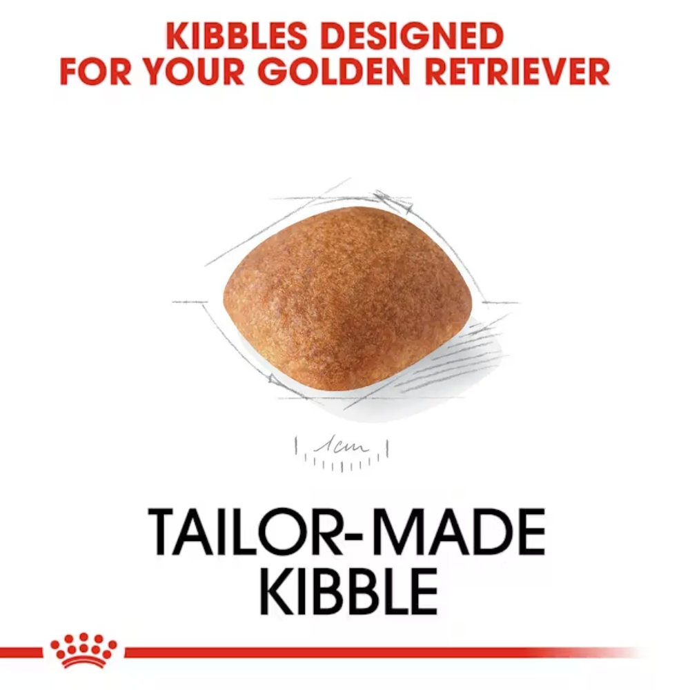 Royal Canin Golden Retriever Adult Dryfood - Image 3