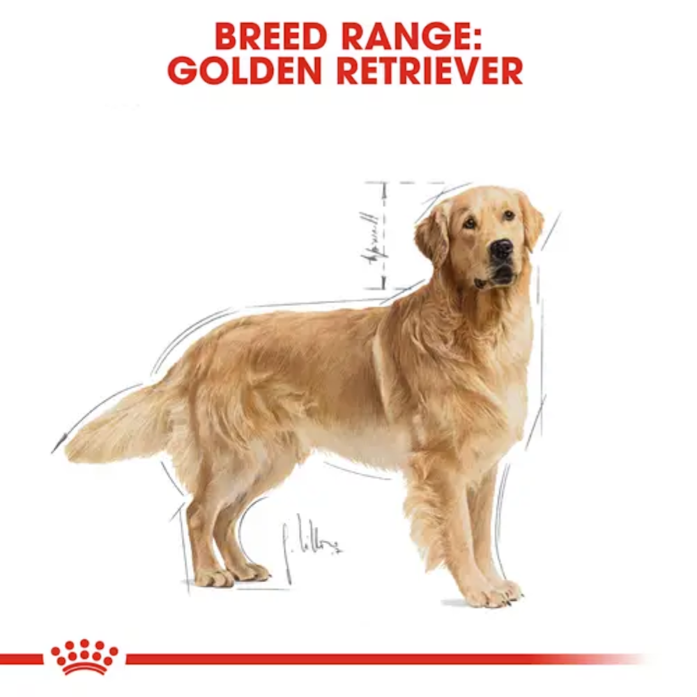 Royal Canin Golden Retriever Adult Dryfood - Image 4