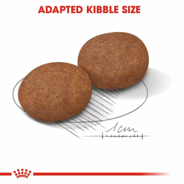Royal Canin Medium Adult Dryfood - Image 4