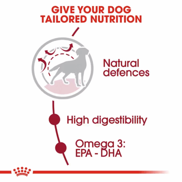Royal Canin Medium Adult Dryfood - Image 2