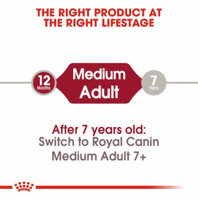 Royal Canin Medium Adult Dryfood - Image 3
