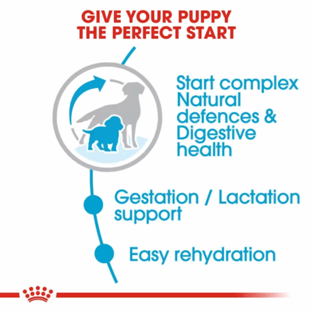 Royal Canin Medium Starter Dryfood - Image 2