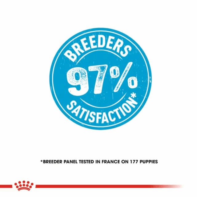 Royal Canin Medium Starter Dryfood - Image 4