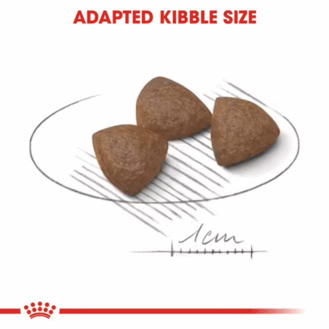 Royal Canin Medium Starter Dryfood - Image 5