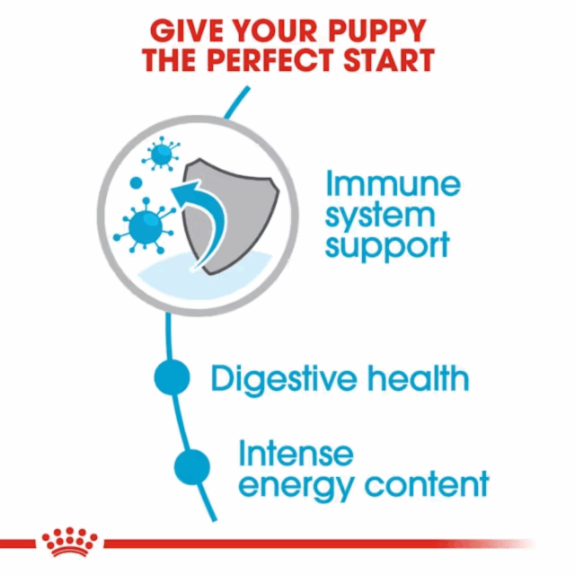 Royal Canin Mini Puppy Dog Dryfood - Image 3