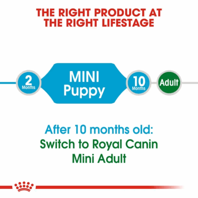 Royal Canin Mini Puppy Dog Dryfood - Image 5