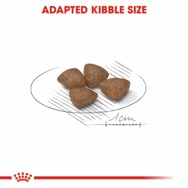 Royal Canin Mini Starter Dog Dryfood - Image 2