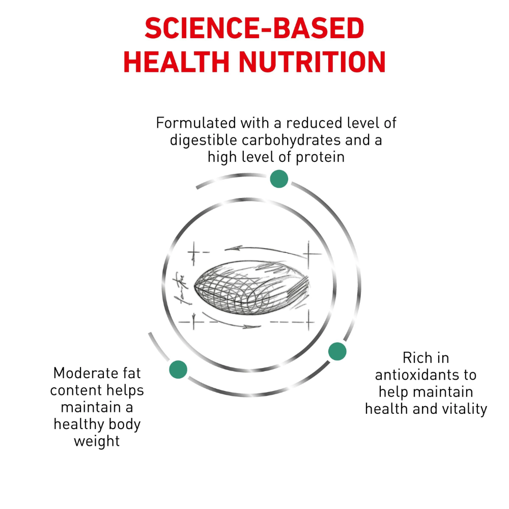 Royal Canin Diabetic Dry Dog Food - Image 2