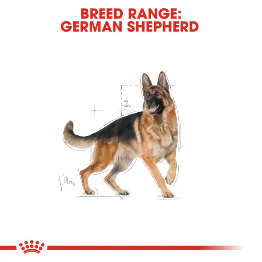 Royal Canin German Shepherd Adult Dryfood - Image 3