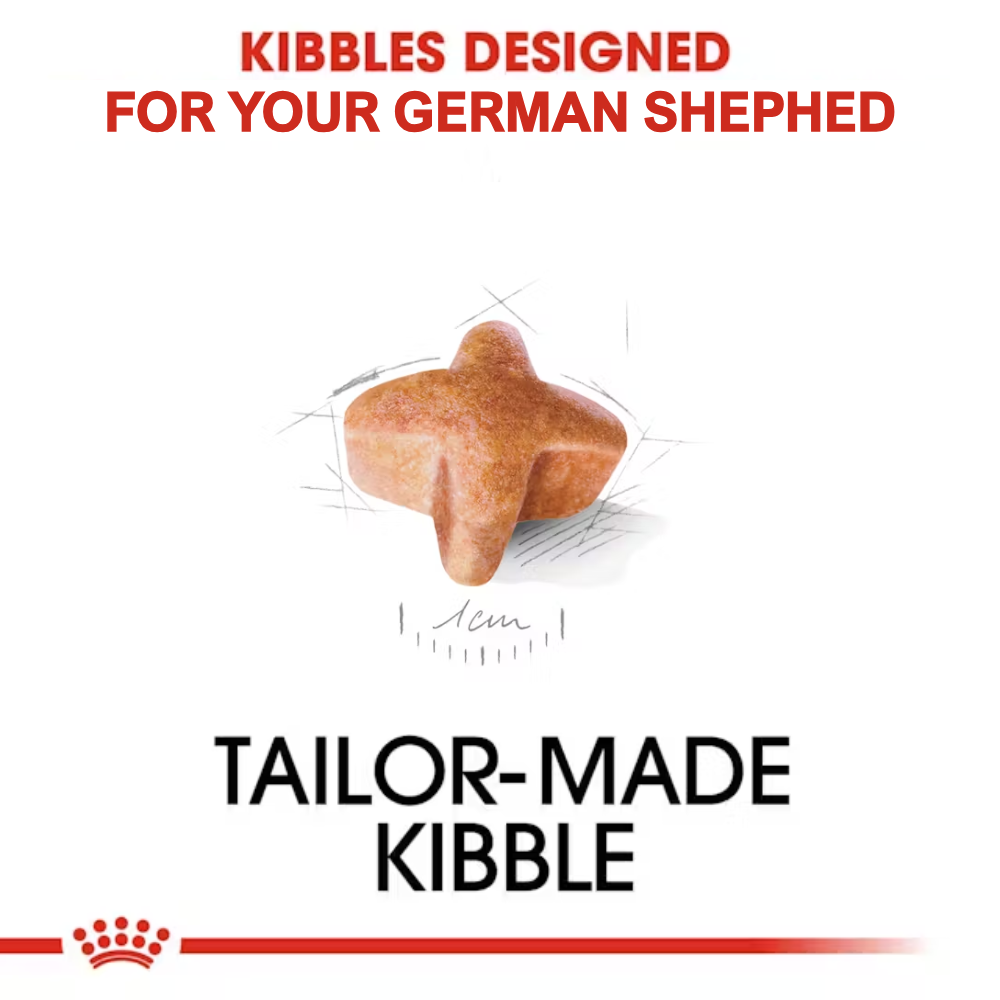 Royal Canin German Shepherd Adult Dryfood - Image 2
