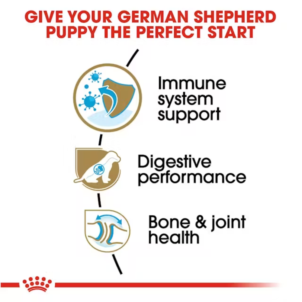 Royal Canin German Shepherd Puppy Dryfood - Image 2