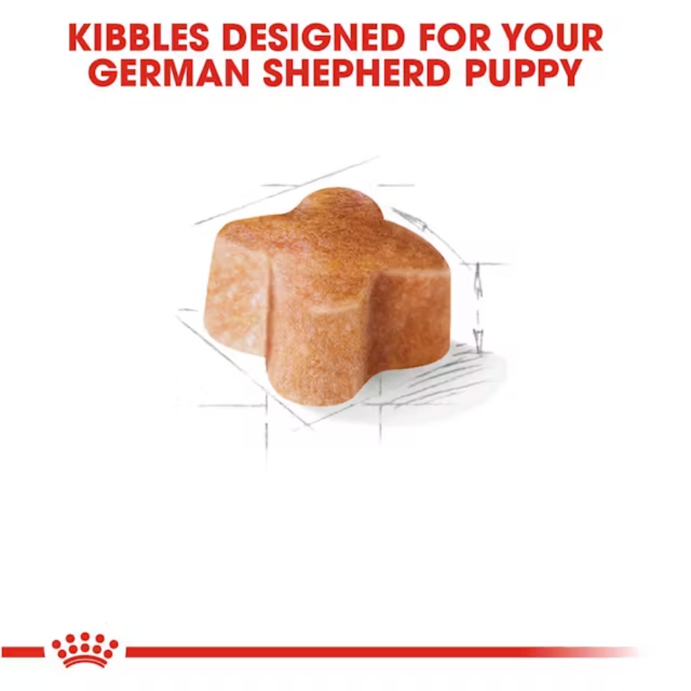 Royal Canin German Shepherd Puppy Dryfood - Image 3