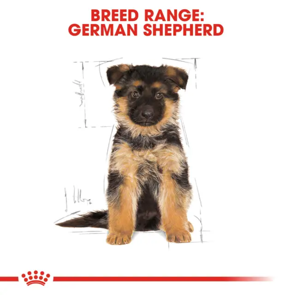 Royal Canin German Shepherd Puppy Dryfood - Image 9
