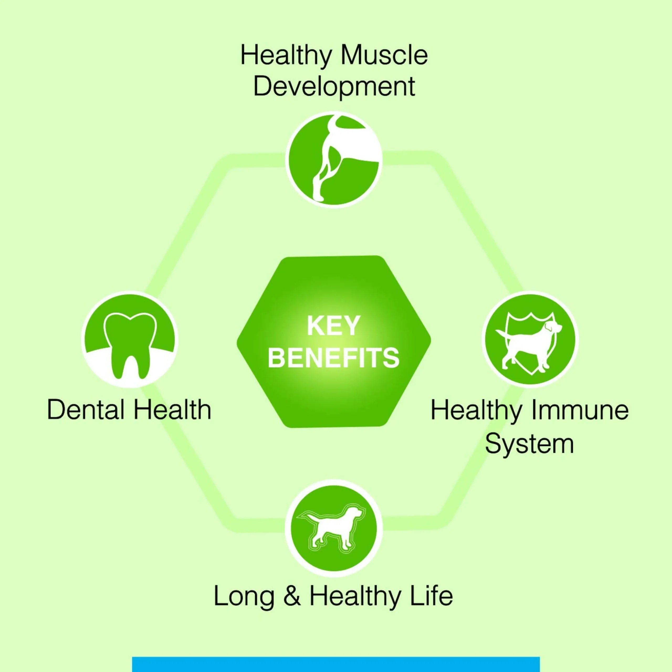 Canine Creek Adult Dry Dog Food - Image 7