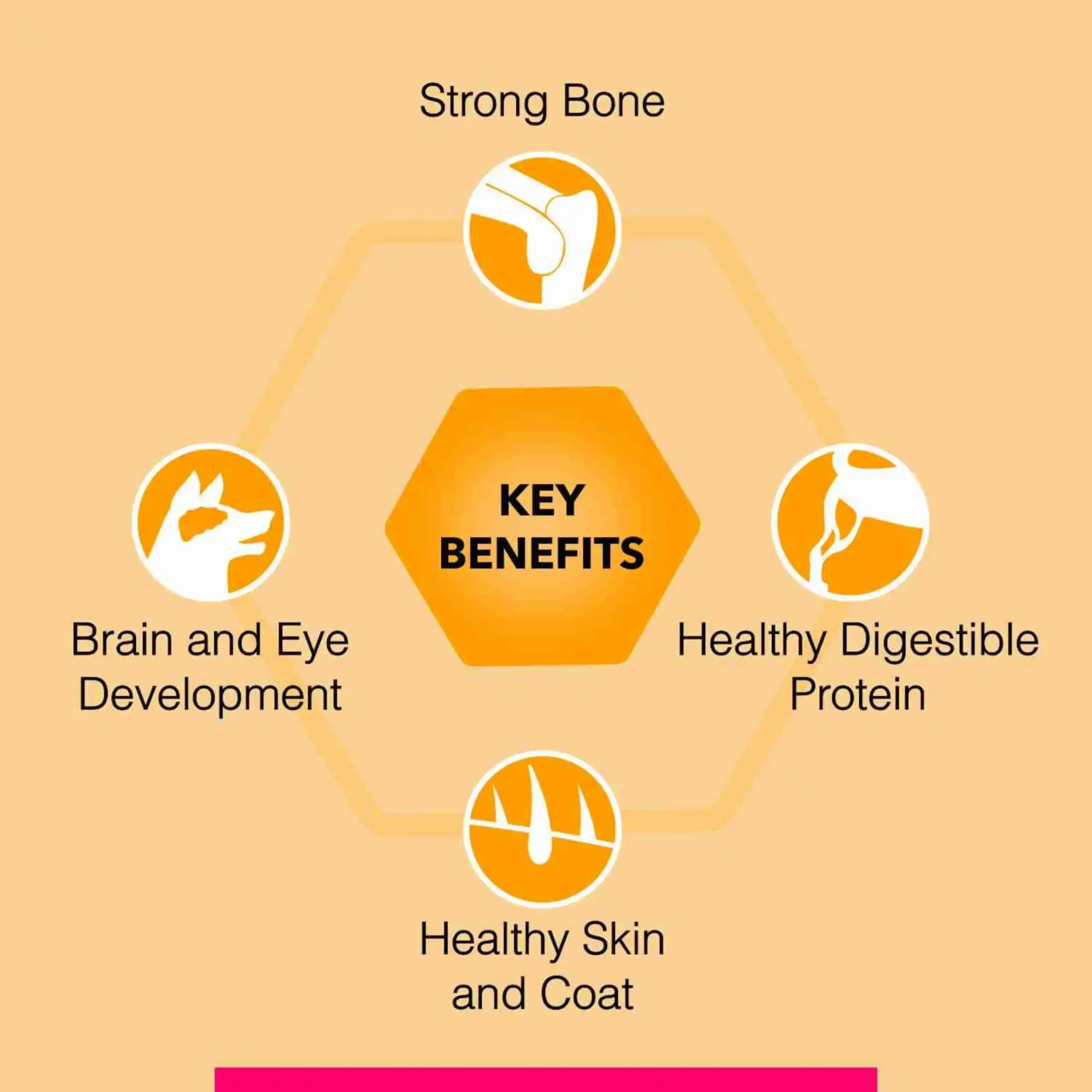 Canine Creek Puppy Dry Dog Food - Image 7