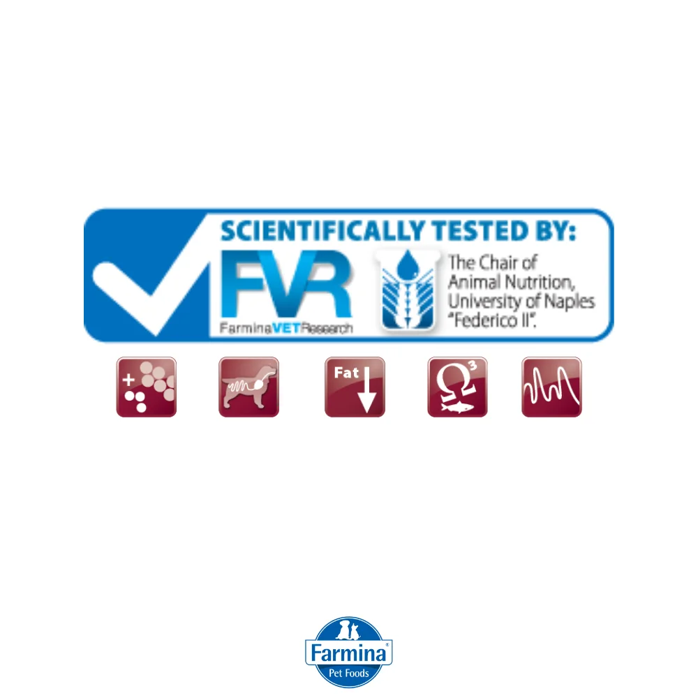 Farmina VetLife Obesity Canine Formula Dry Dog Food - Image 4