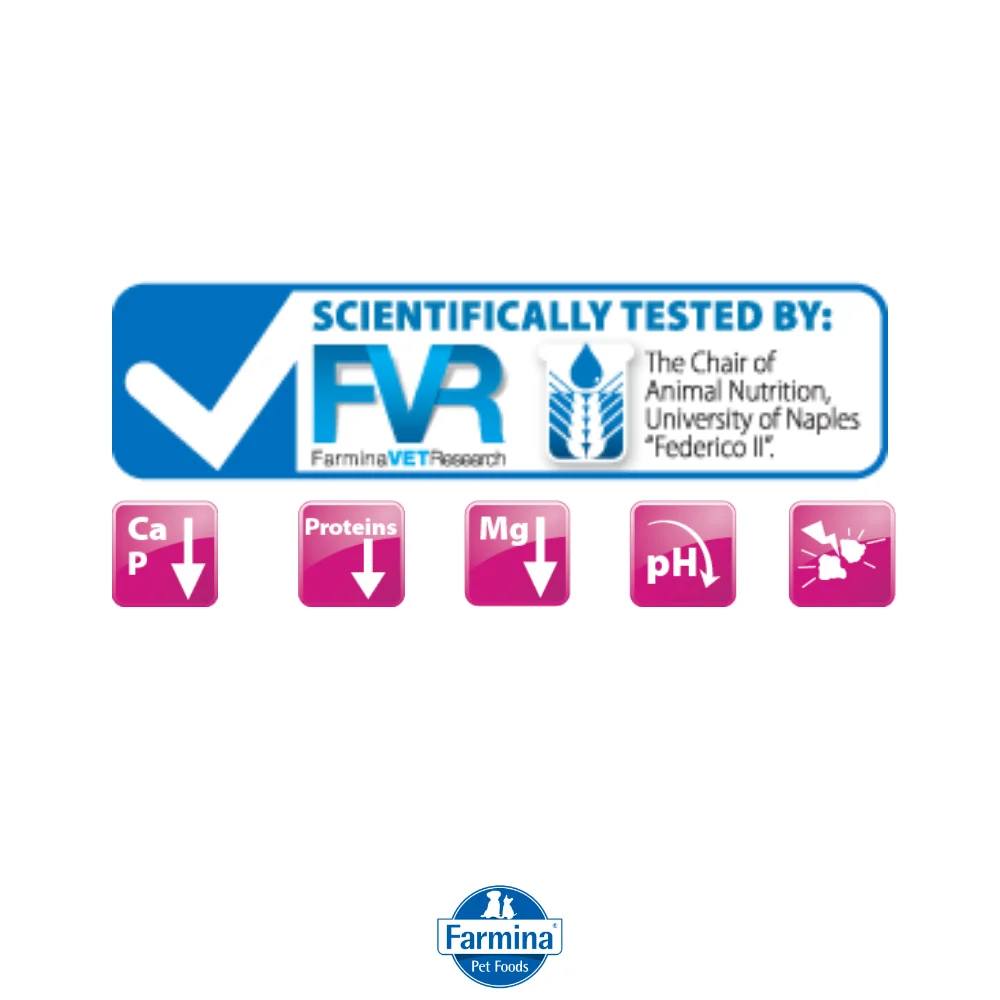 Farmina VetLife Struvite Canine Formula Dry Dog Food - Image 2