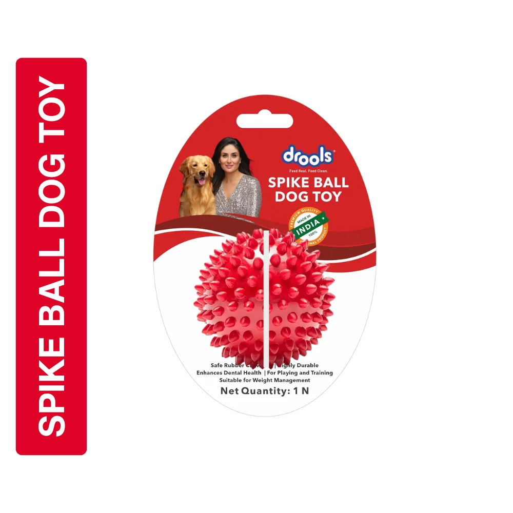 Drools Spike Ball Dog Toy