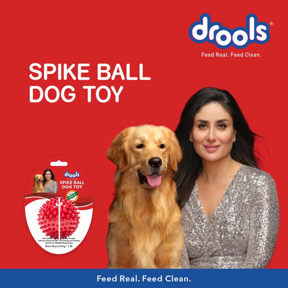 Drools Spike Ball Dog Toy - Image 2