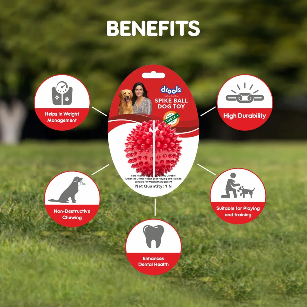 Drools Spike Ball Dog Toy - Image 4