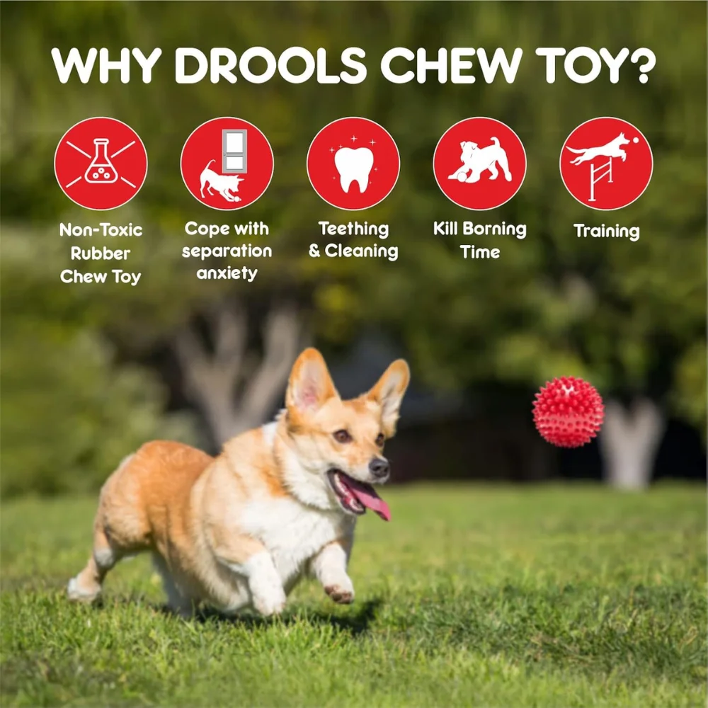Drools Spike Ball Dog Toy - Image 5