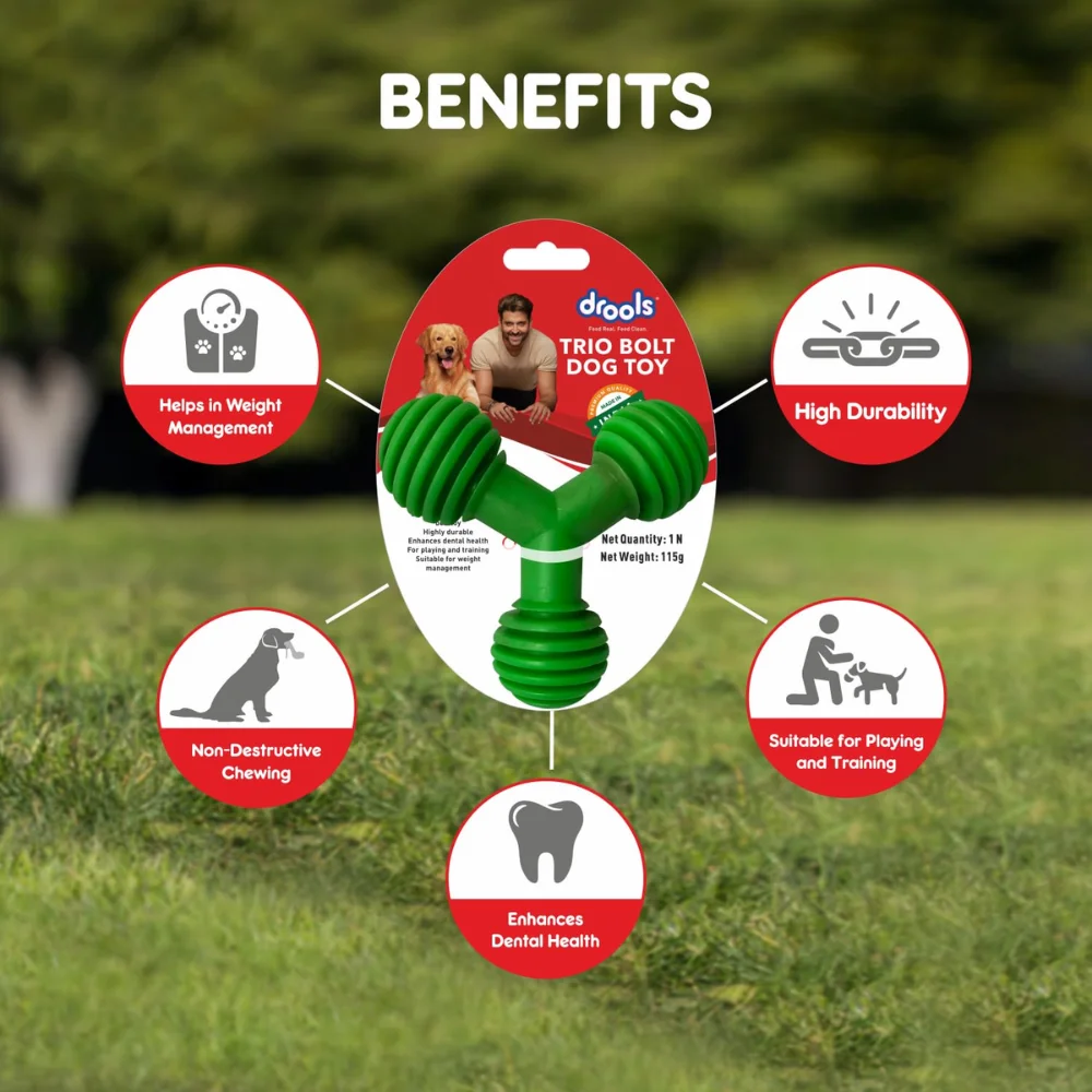 Drools Trio Bolt Dog Toy - Image 4
