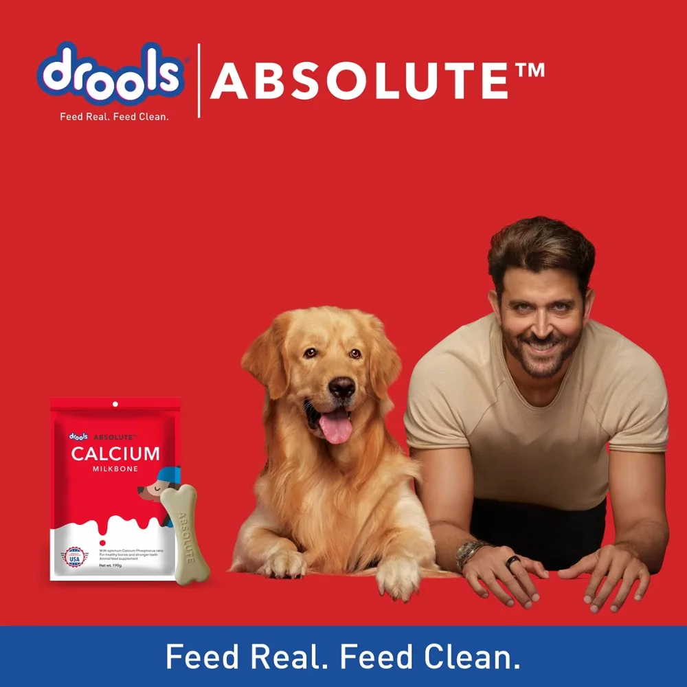 Drools ABS Calcium Milk Bone Small Breed1pcs Trail Pack - Image 4