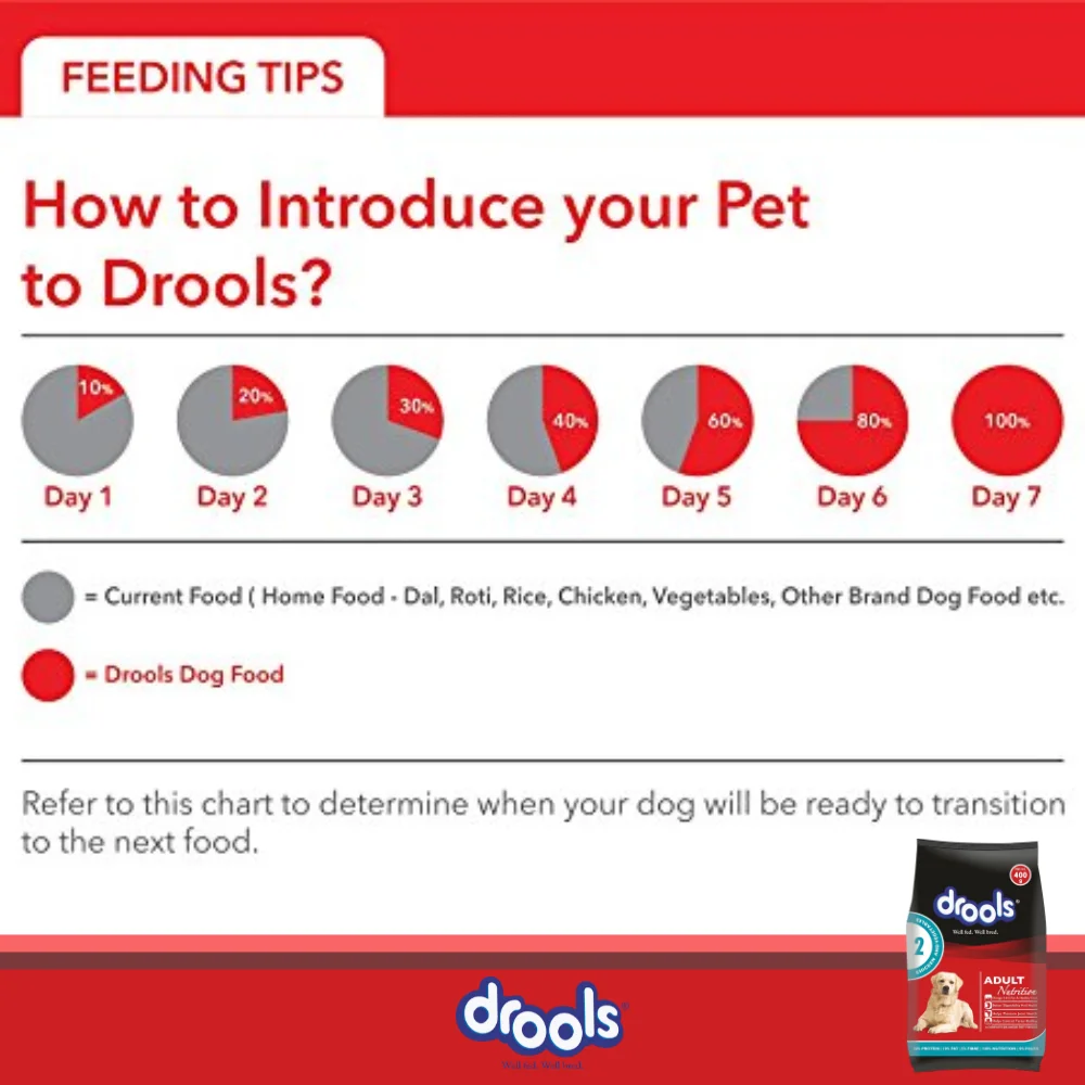 Drools Chicken & Vegetable Adult Dog Dryfood - Image 6