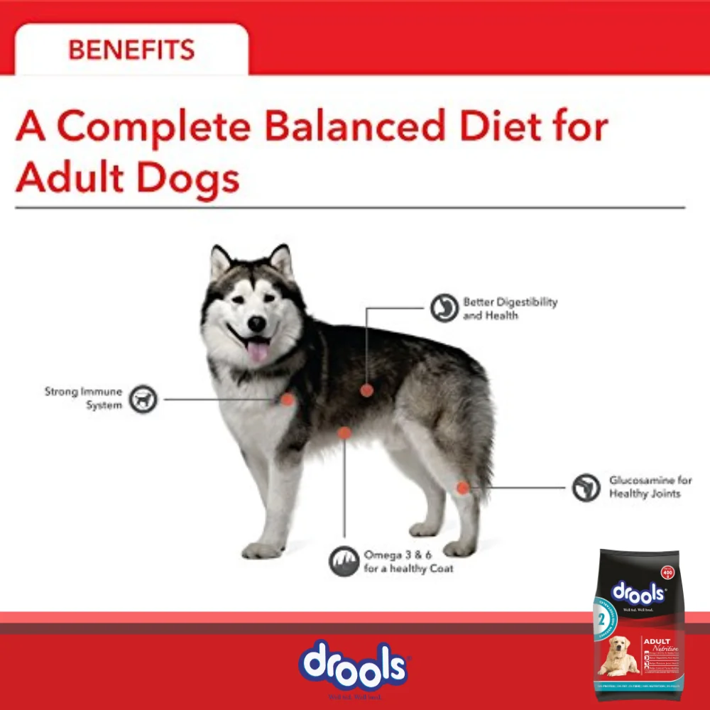 Drools Chicken & Vegetable Adult Dog Dryfood - Image 8