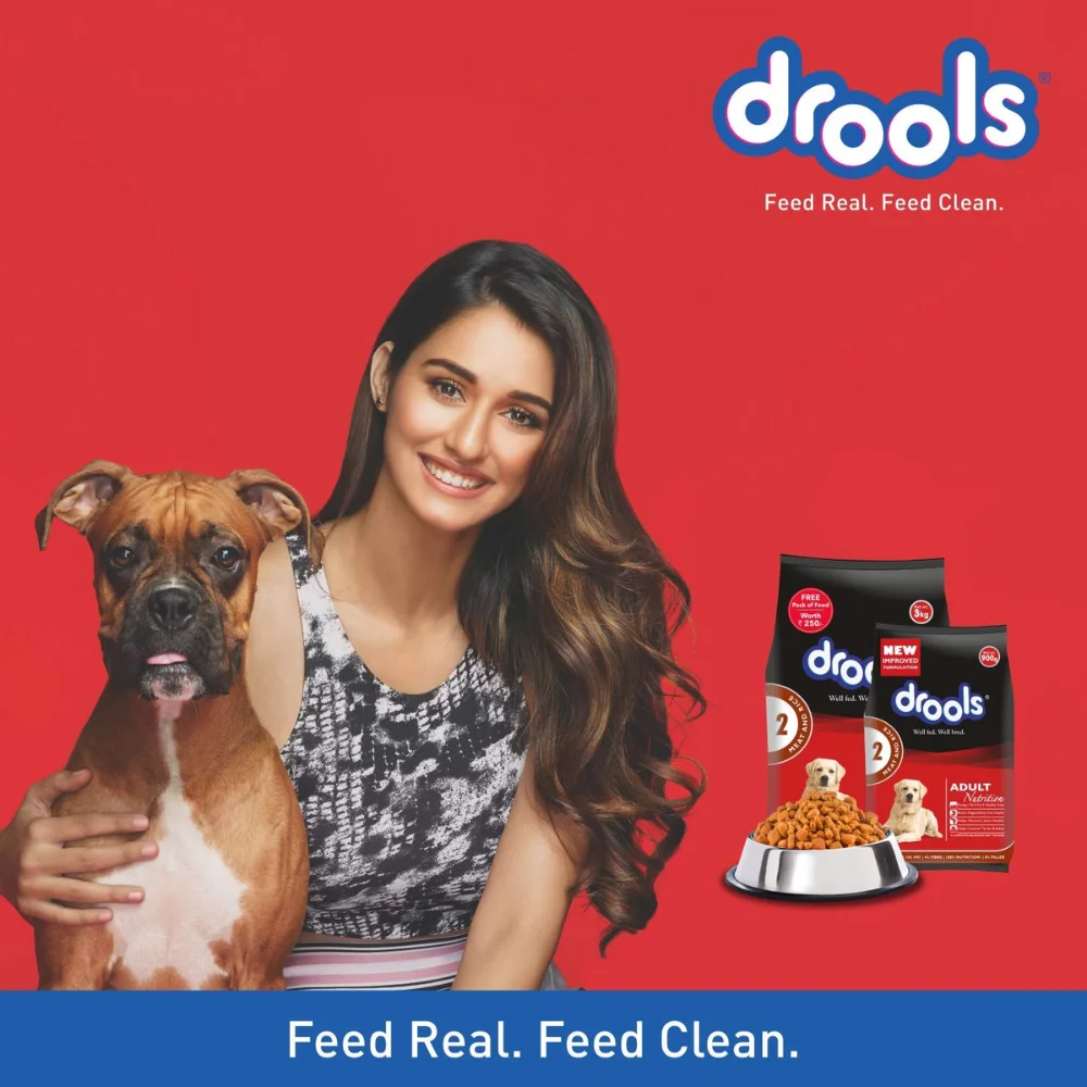 Drools Meat & Rice Adult Dog Dryfood - Image 5