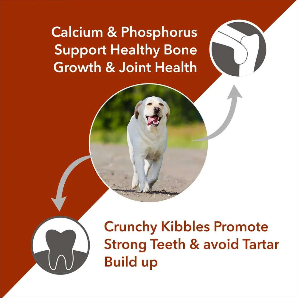 Drools Meat & Rice Adult Dog Dryfood - Image 7