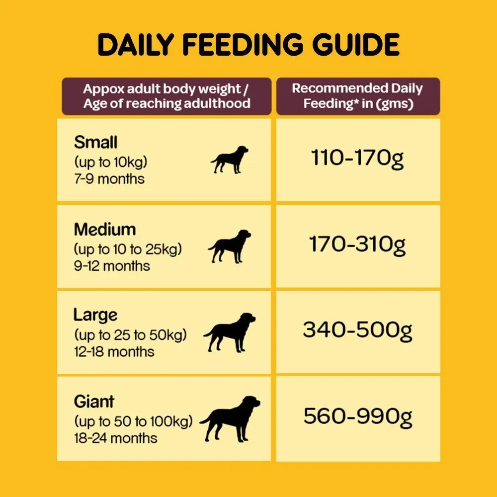 Pedigree Adult Dry Dog Food, Meat & Rice - Image 9