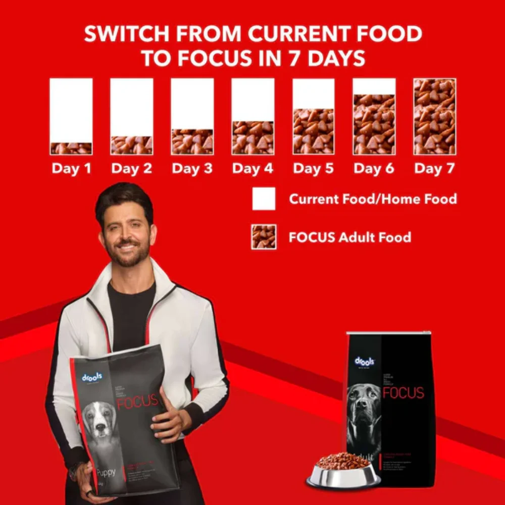 Drools Focus Adult Super Premium Dry Dog Food - Image 8