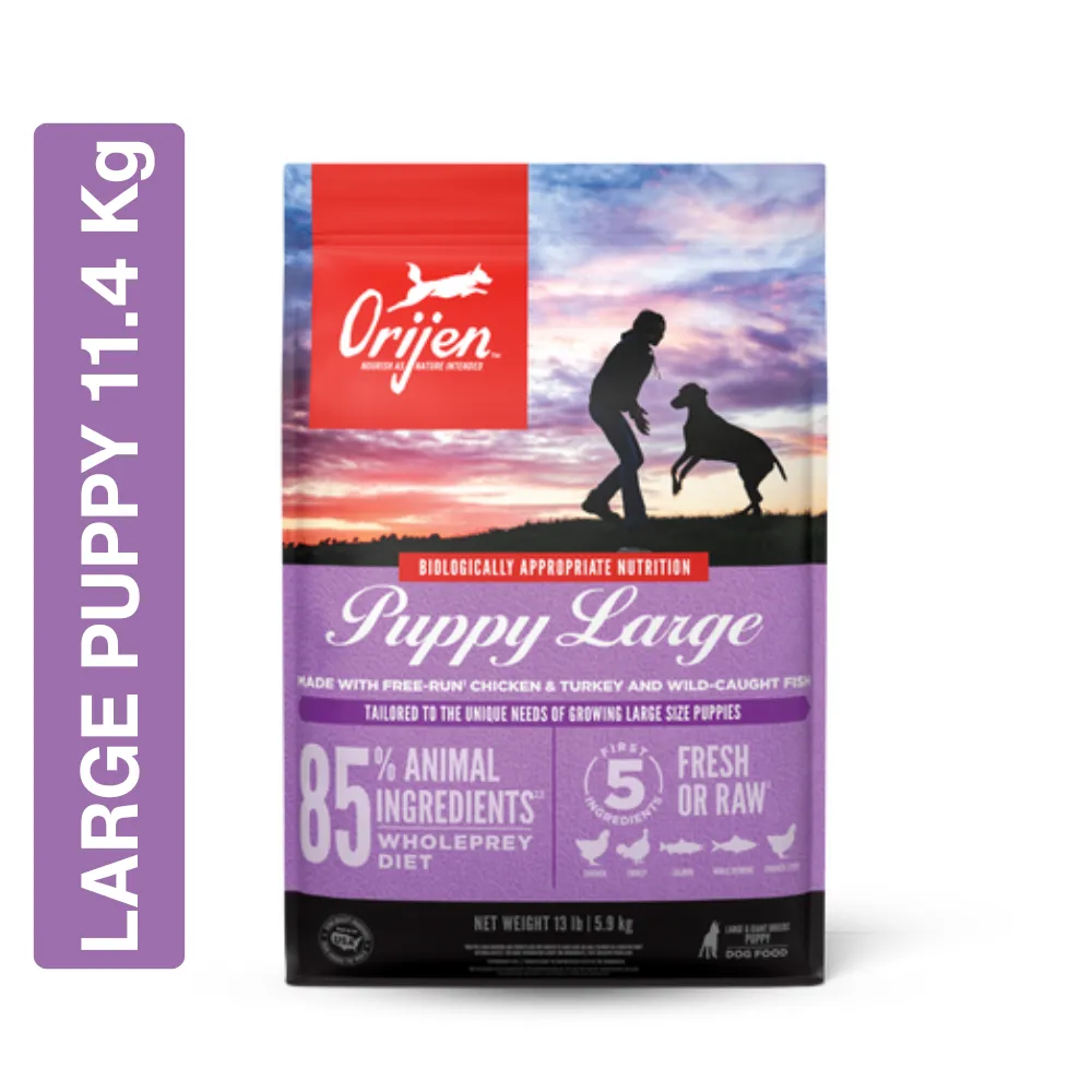 Orijen Large Puppy Dryfood - Image 3