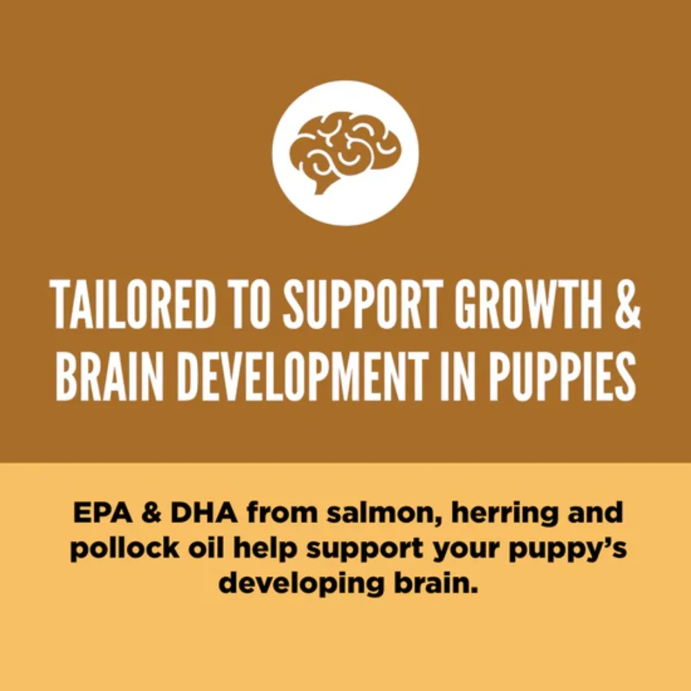 Orijen Puppy Dry Dog Food, All Breeds - Image 7