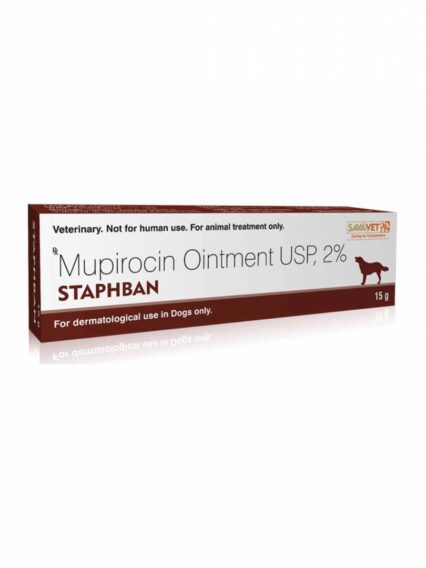 Staphban Ointment 15 g