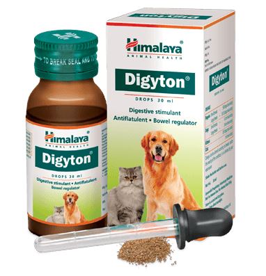 Himalaya Digyton 30 ml
