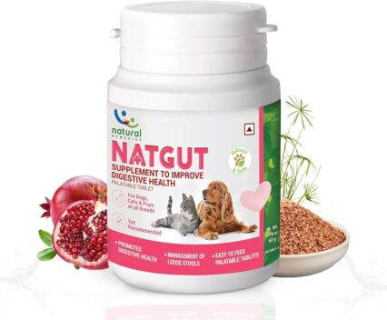 Natgut 20 Tablets