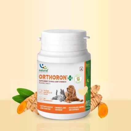 Orthoron 28 Tablets