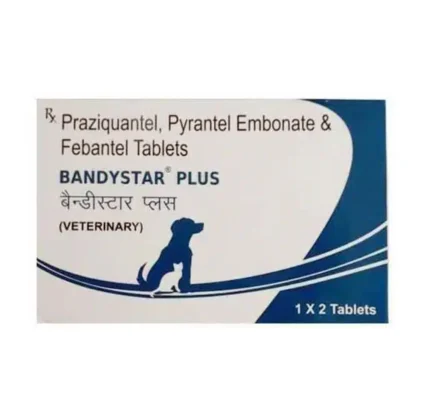 Bandystar Plus 2 Tablets