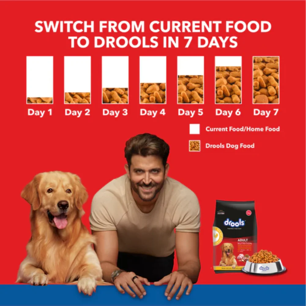 Drools Chicken & Egg Adult Dog Dryfood - Image 7