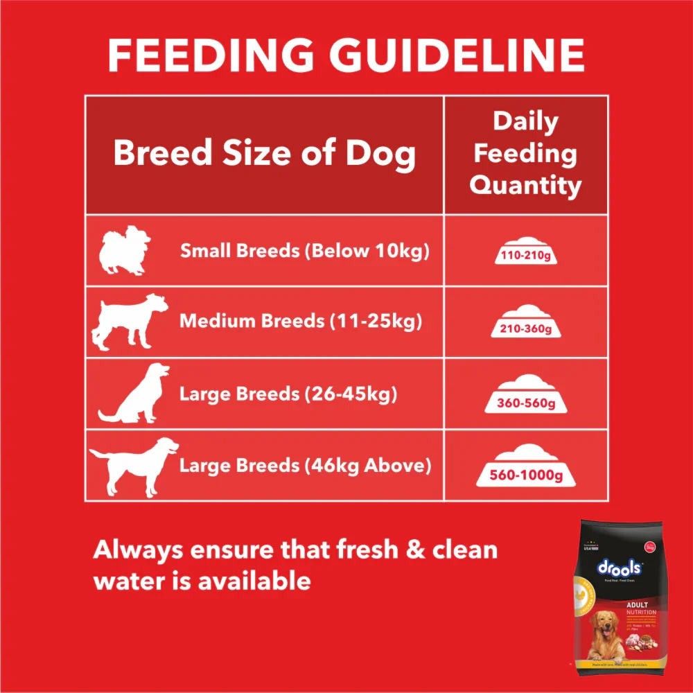 Drools Chicken & Egg Adult Dog Dryfood - Image 10