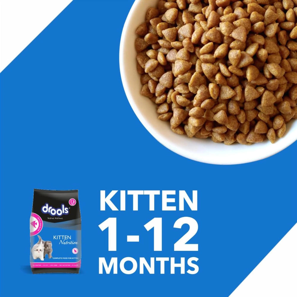 Drools Ocean Fish Kitten Dryfood - Image 6